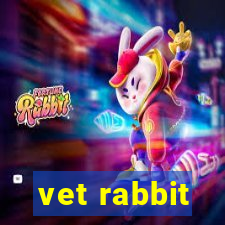 vet rabbit